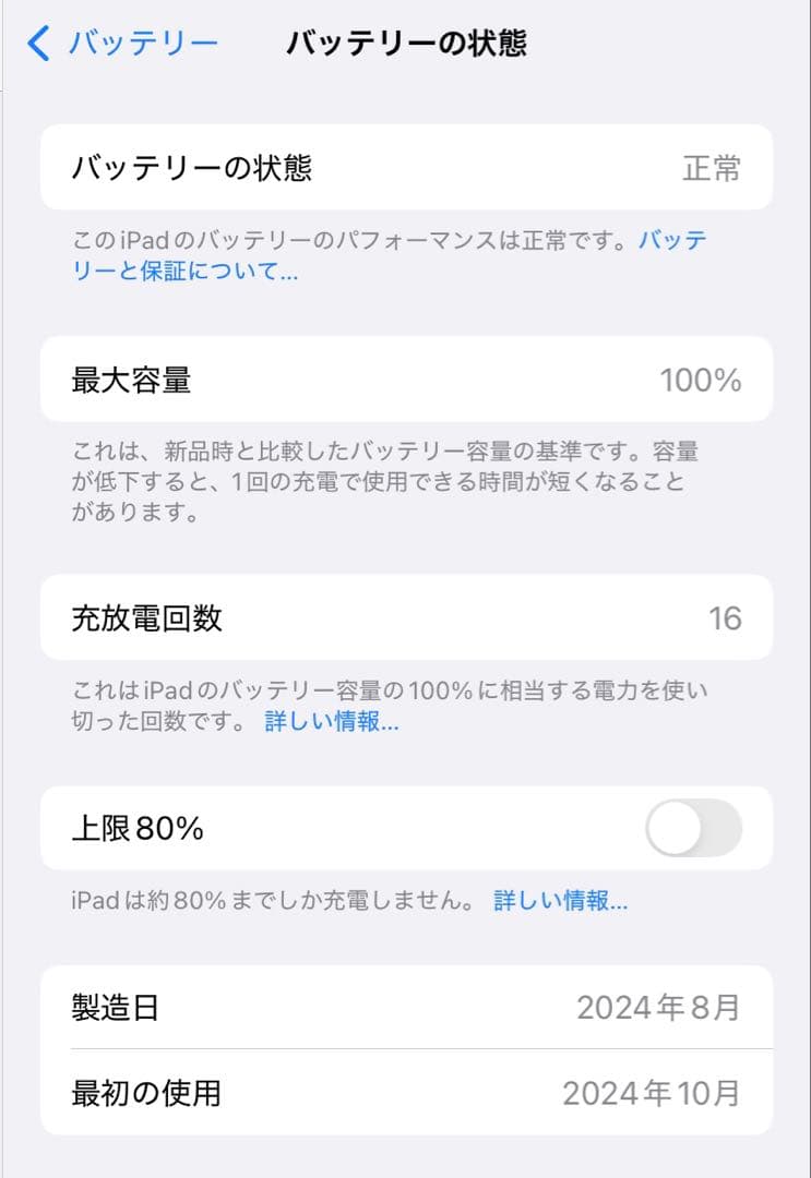 iPad mini 第7世代 128GB Wi-Fi バッテリー容量100%