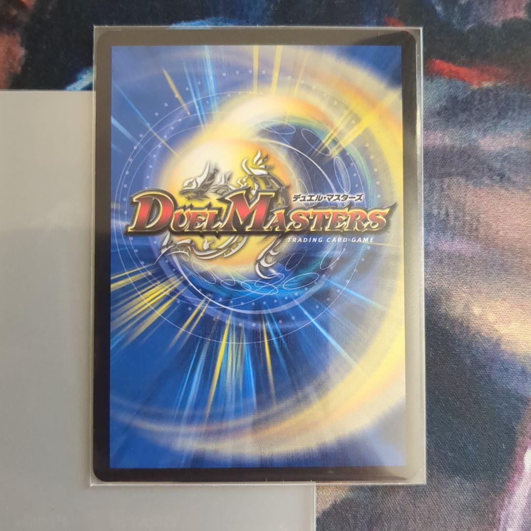 シャコガイル　b ②