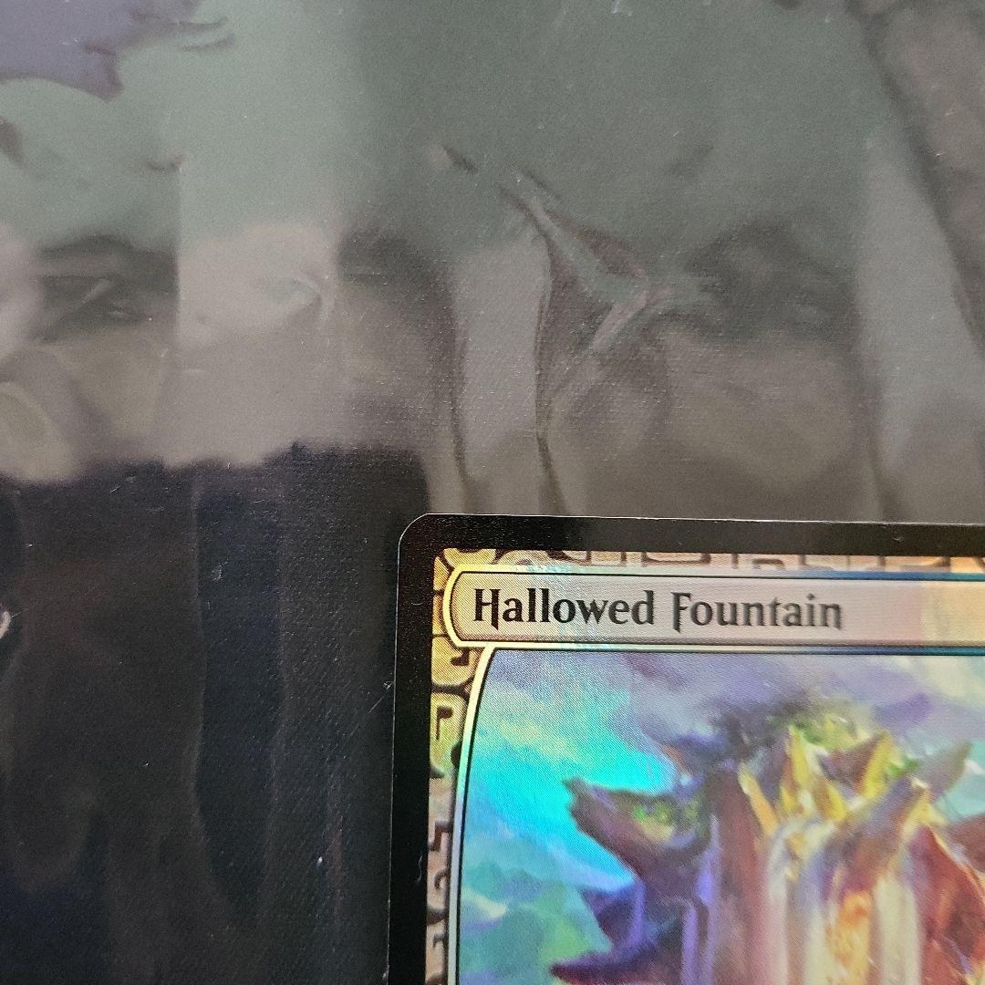 《神聖なる泉/Hallowed Fountain》[EXP] 土地R