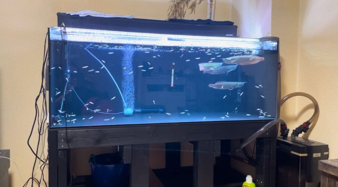 最終値下げ！1200 アクリル水槽 4面ブラック レア 一式セット 大型