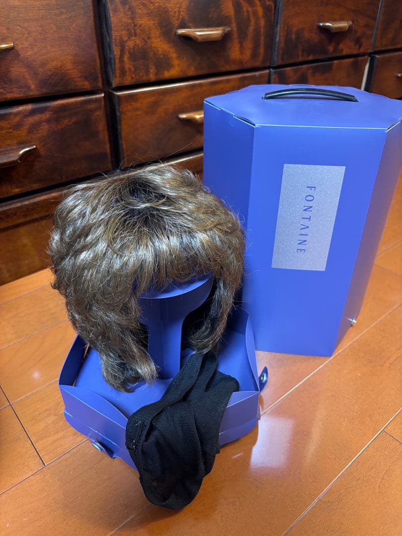 【れいこさま専用】フォンテーヌ　カツラ　ショート