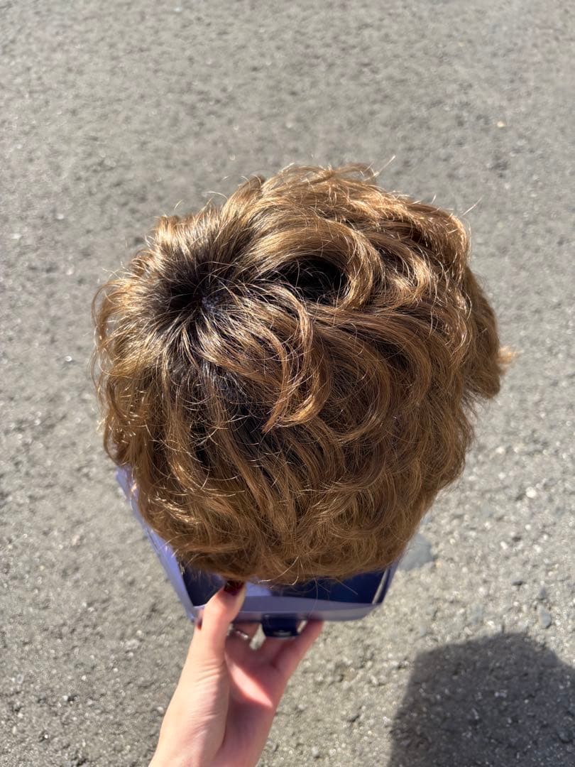 【れいこさま専用】フォンテーヌ　カツラ　ショート