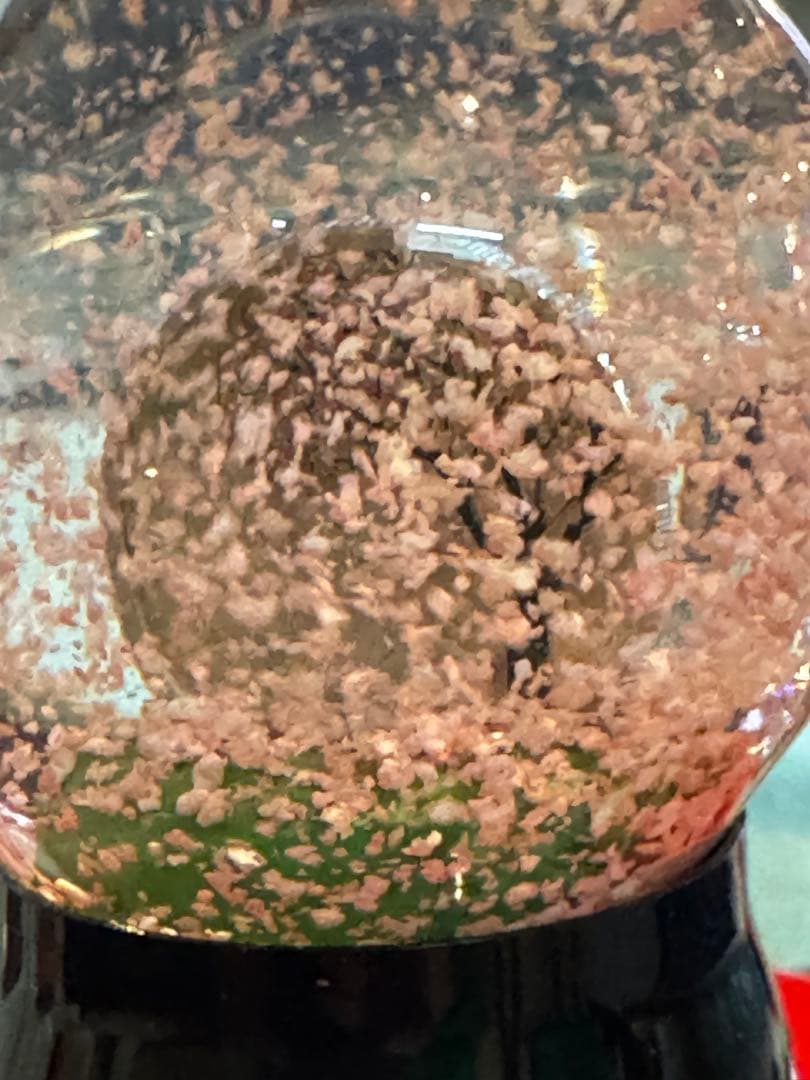 クック諸島 エリザベス2世 1ドル スノードーム