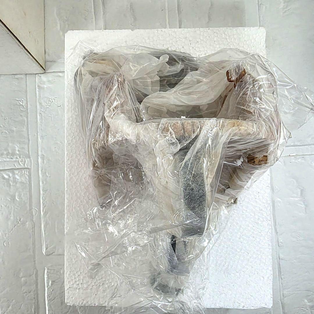 【チップ&デール】プランターハンガー　セトクラフト　2003　箱あり　未使用