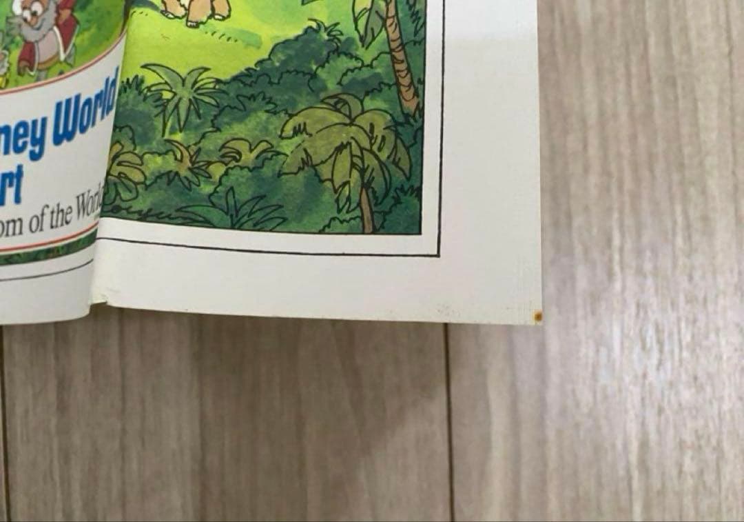 レア！ウォルトディズニーワールドリゾート　ポスター