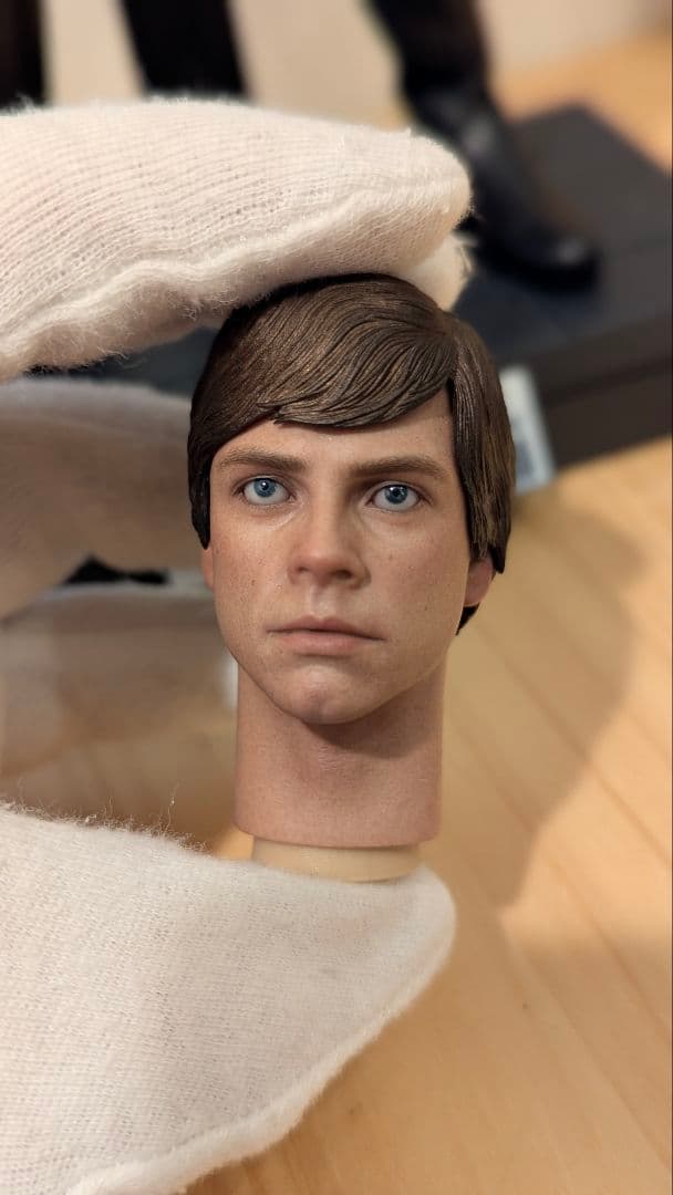 HOTTOYS 【マンダロリアン】 ルーク + ダーク・トルーパー 2点