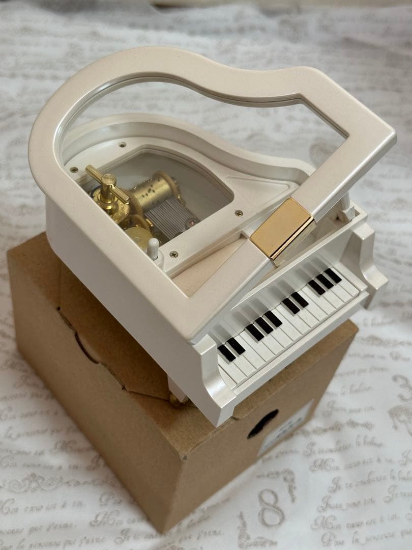 【SOPHIA】進化論♩オルゴール /18弁