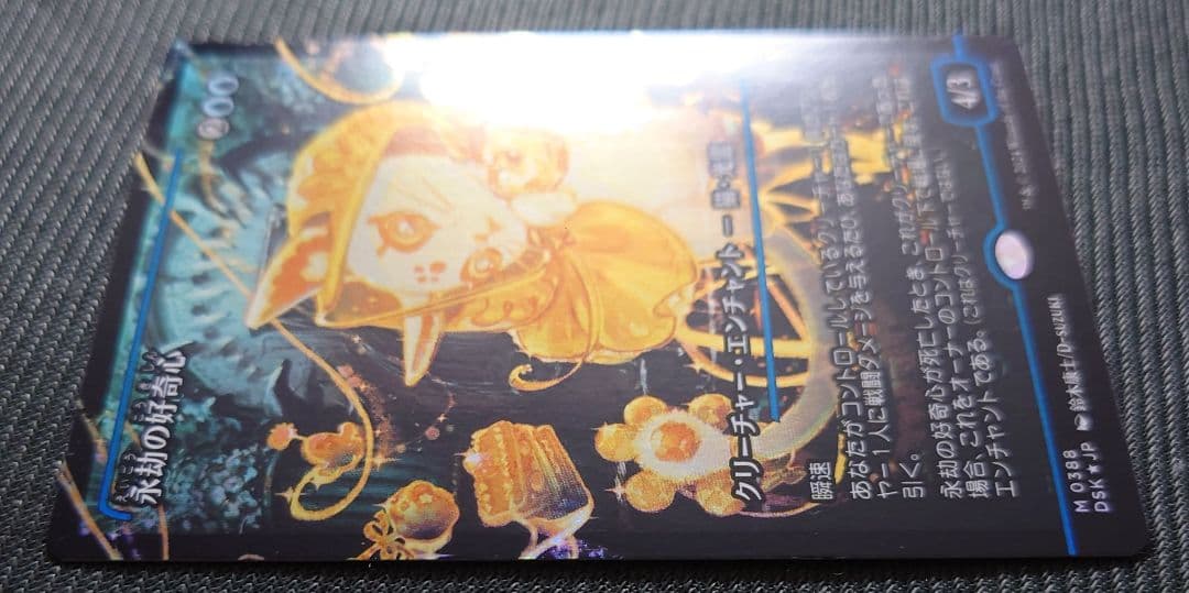 mtg 高騰中 ボーダーレス FOIL 永劫の好奇心 日本語版 dsk