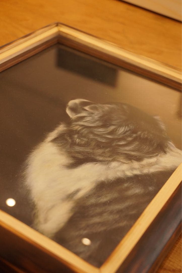 ペットの似顔絵オーダー受付専用