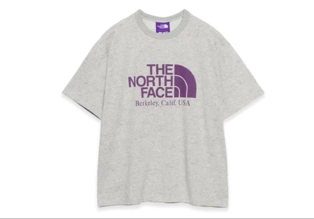 PALACE The North Face Tシャツ　Lサイズ