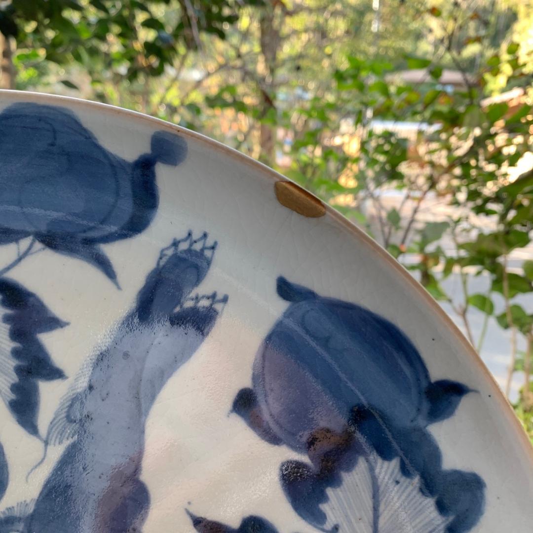 染付古伊万里 大皿