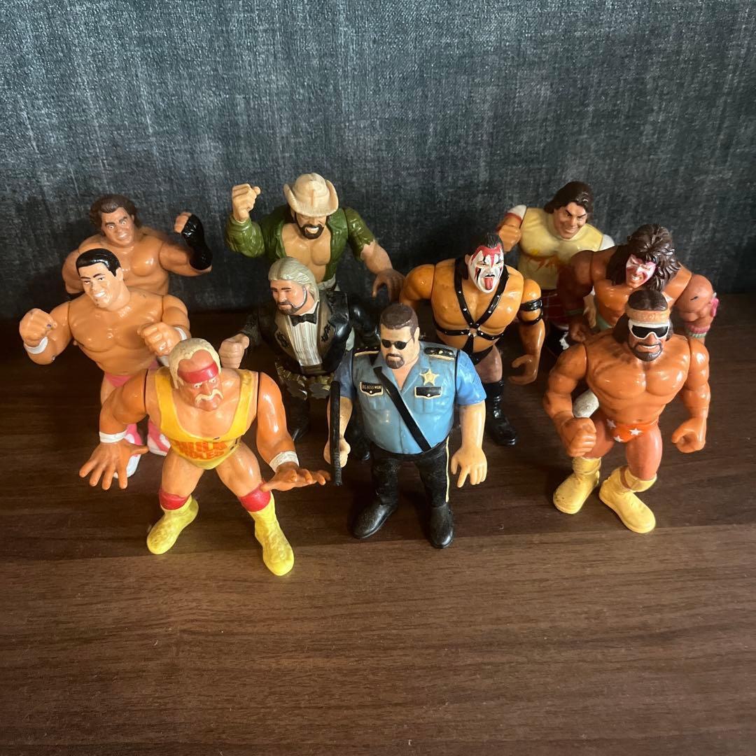 WWFプロレスラー ハズプロフィギュアセット 10体