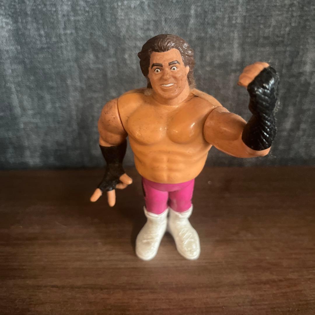 WWFプロレスラー ハズプロフィギュアセット 10体