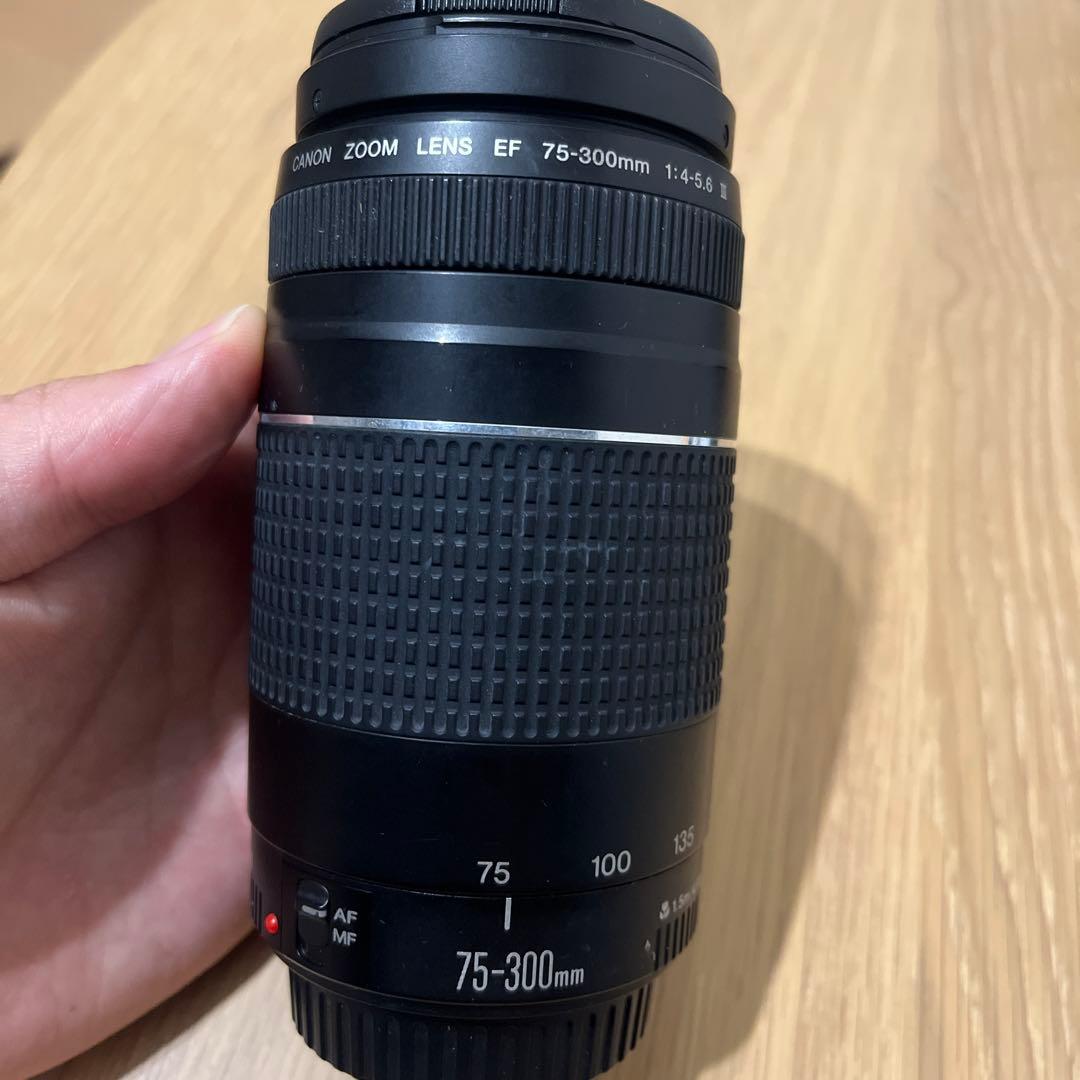 Canon EF 75-300mm ズームレンズ