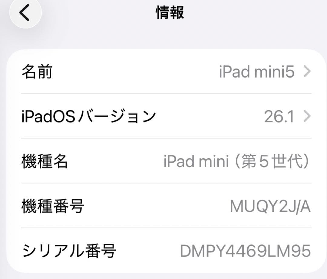 iPad本体 Apple iPad mini5 64GB GOLD
