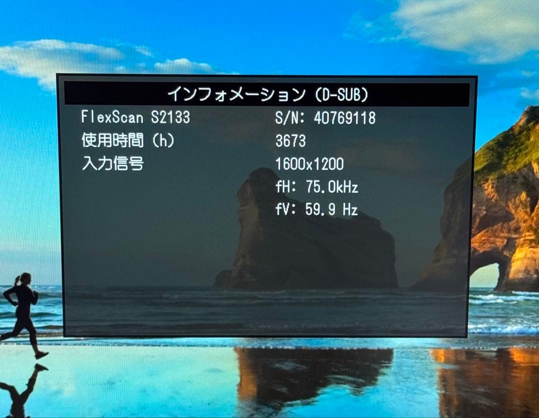 EIZO FlexScan FlexScan S2133-HGY セレーングレイ