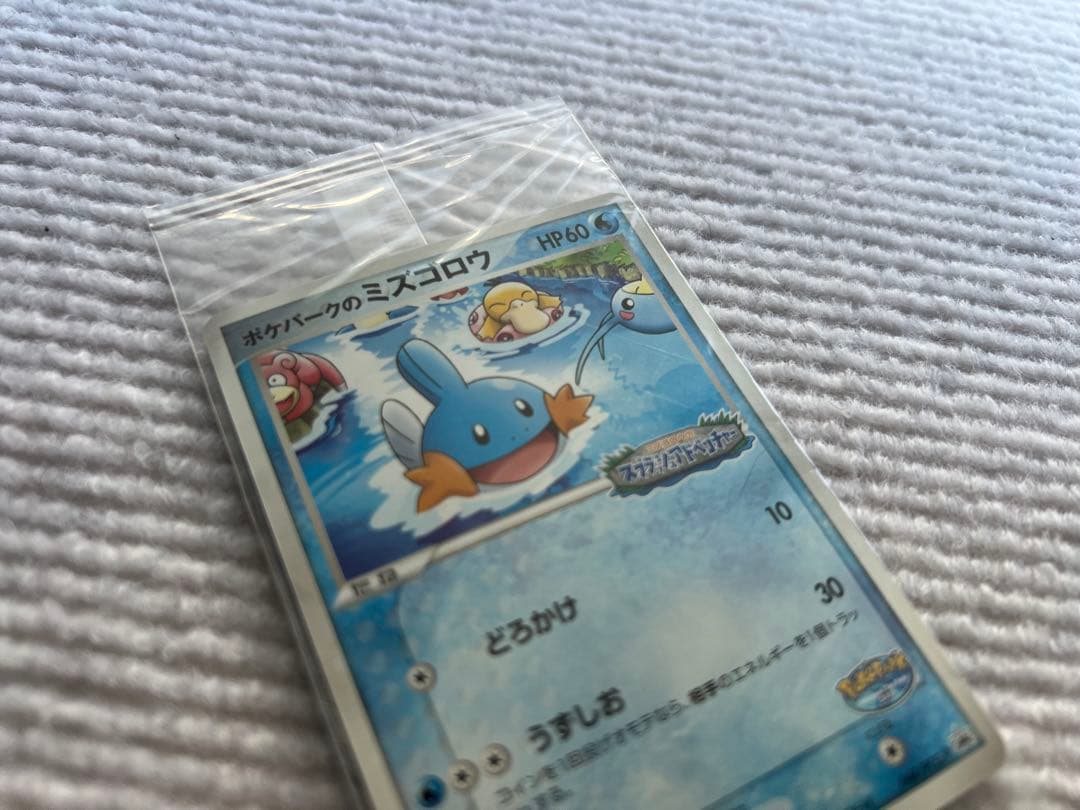 未開封 ポケパークのミズゴロウ 048/PCG-P 長期保管品 ポケモンカード