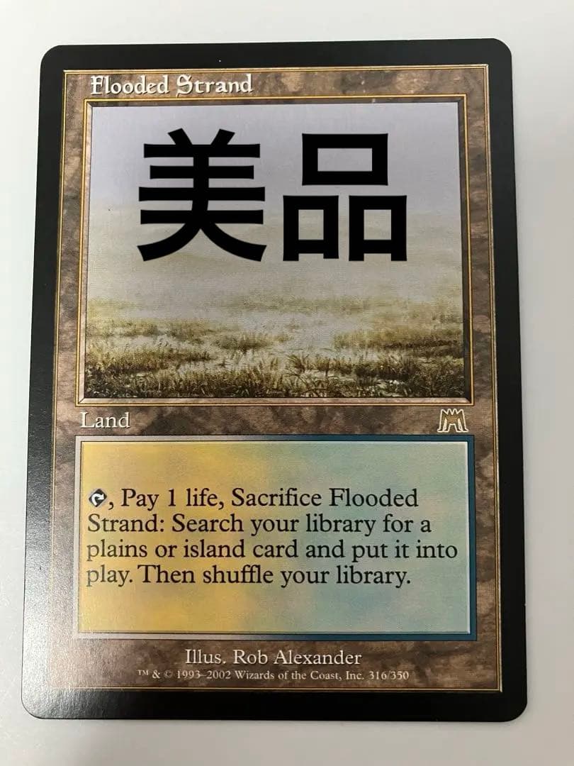 【美品】《溢れかえる岸辺/Flooded Strand》初版[ONS]英語版