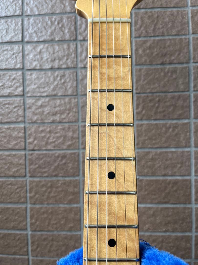 【動作◯】 シェクターネック コンポーネントギター