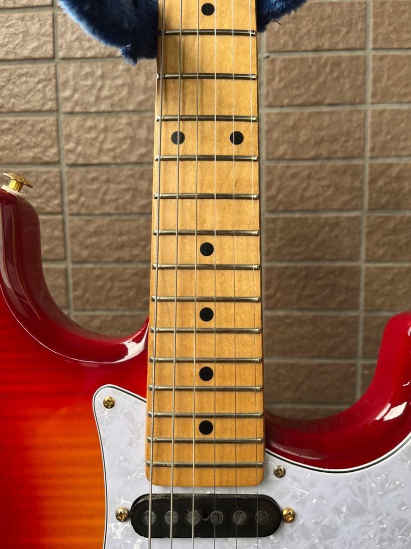 【動作◯】 シェクターネック コンポーネントギター