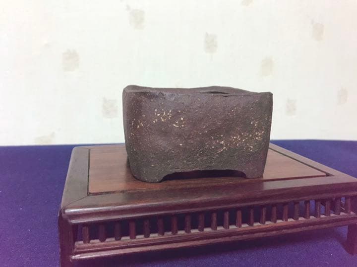 1349 盆栽　盆栽鉢　植木鉢　和鉢　梨皮正方鉢　春山