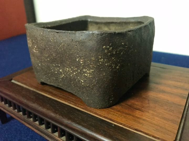 1349 盆栽　盆栽鉢　植木鉢　和鉢　梨皮正方鉢　春山