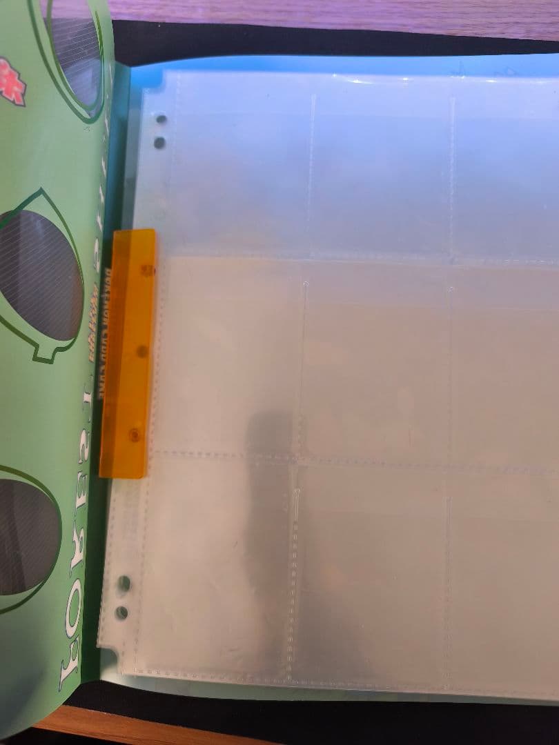 ポケパーク　ブルーシート　フォレストシート　ファイルのみ