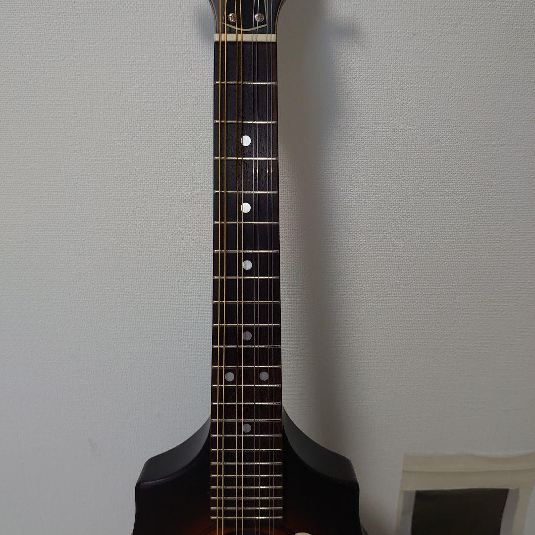 Seagull S8 マンドリン ハードケース付き