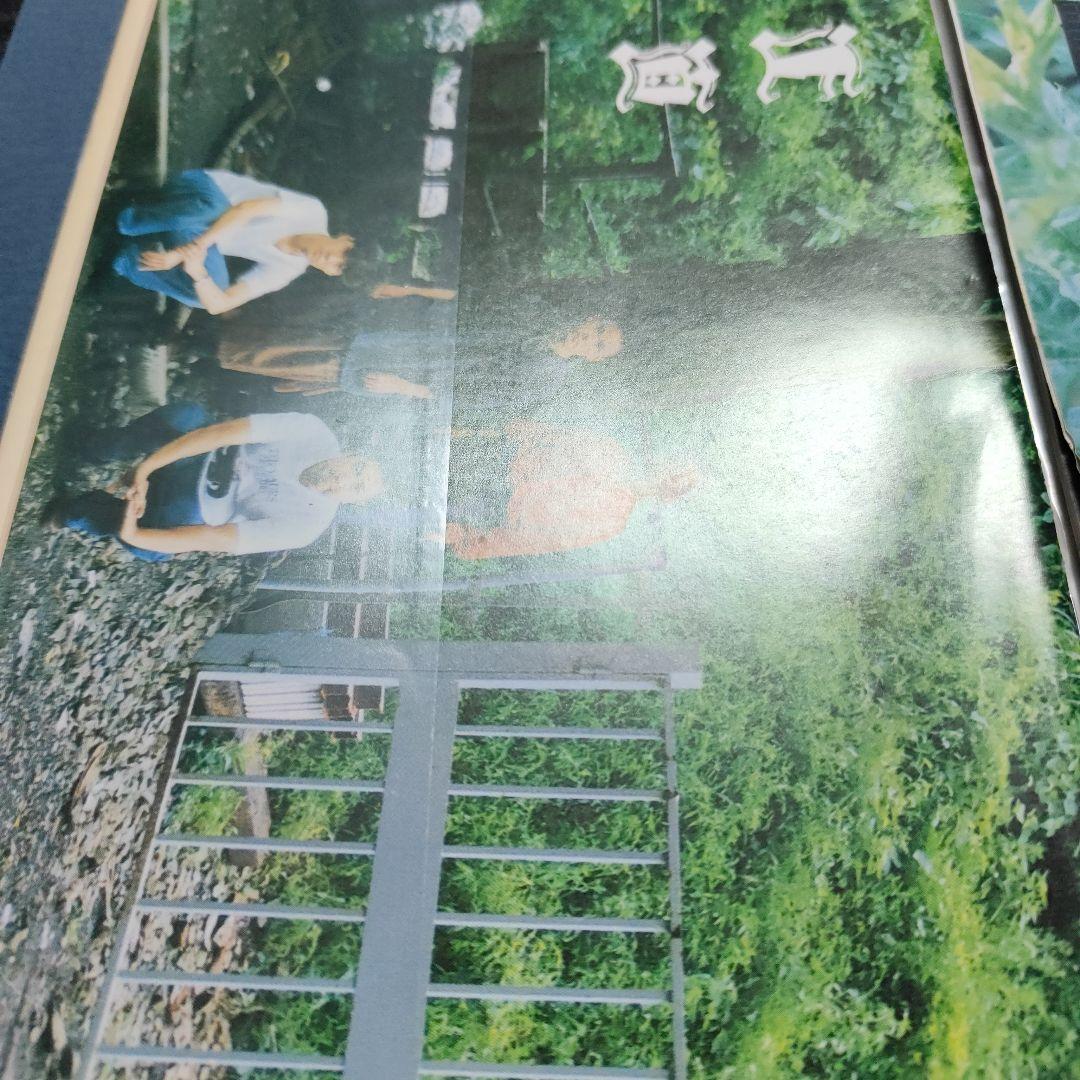 たま　虚言倶楽部　 ファイル付き全巻セット　会員証他