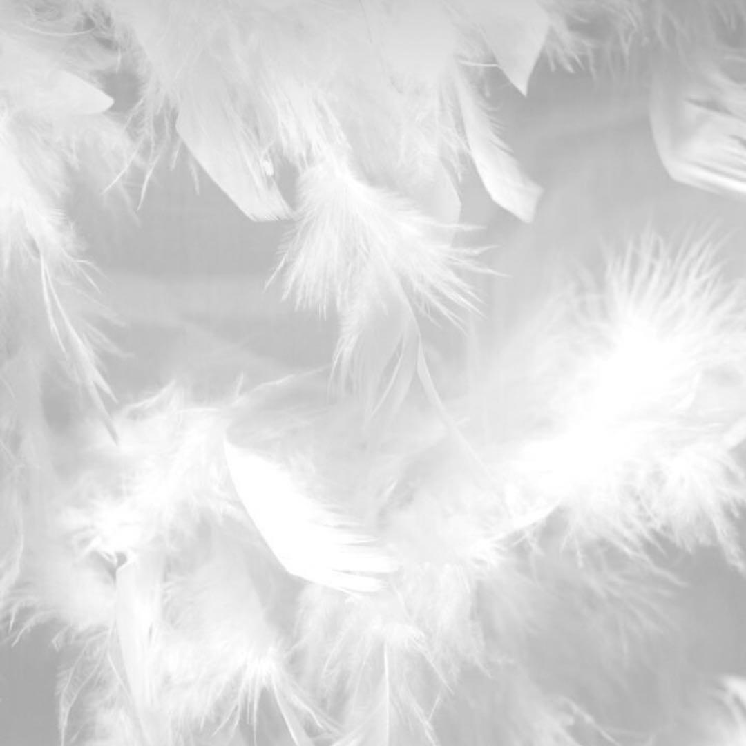 ご確認用ページ