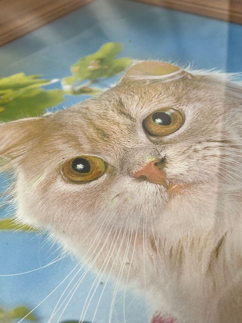 額入り61.0cm 立体壁掛け 仔猫達 （立体画）1154