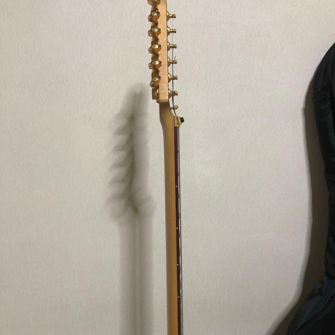 ケン　楽器　ソフトケース付き