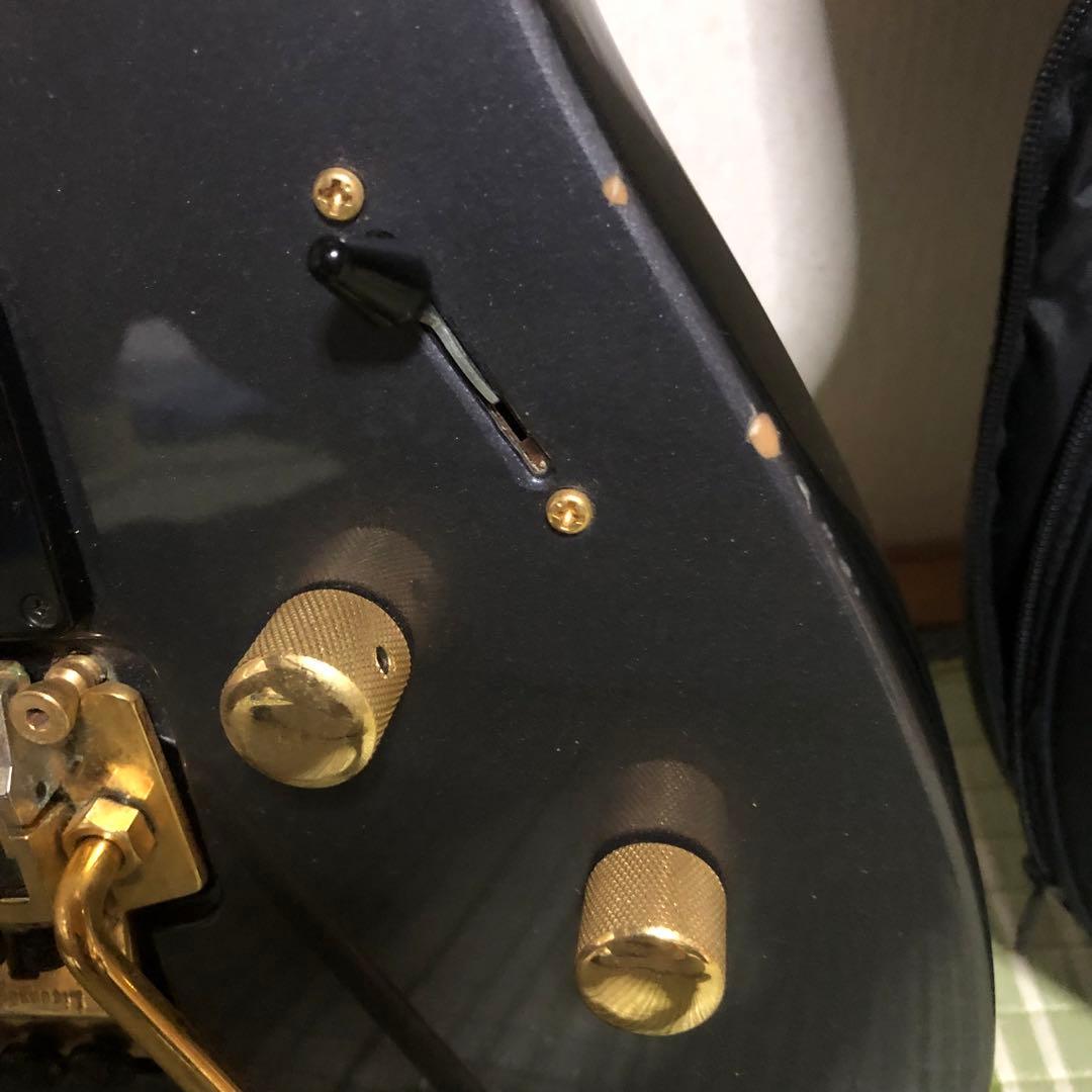 ケン　楽器　ソフトケース付き