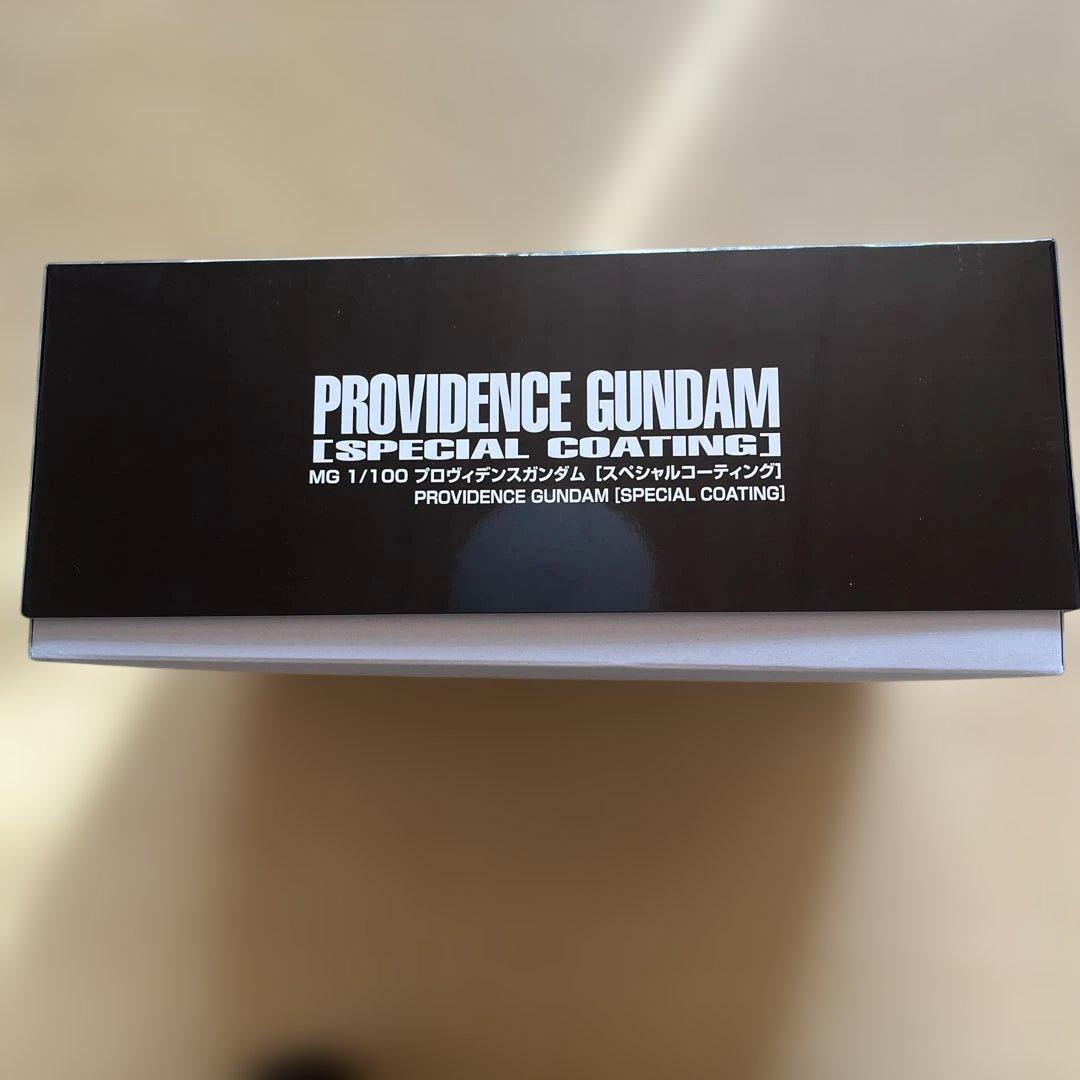 プロヴィデンスガンダム MG 1/100 スペシャルコーティング新品