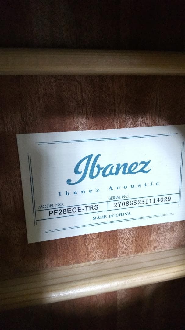 ❤️弦高調整済！「Ibanez Performance PF28ECE」＋ケース