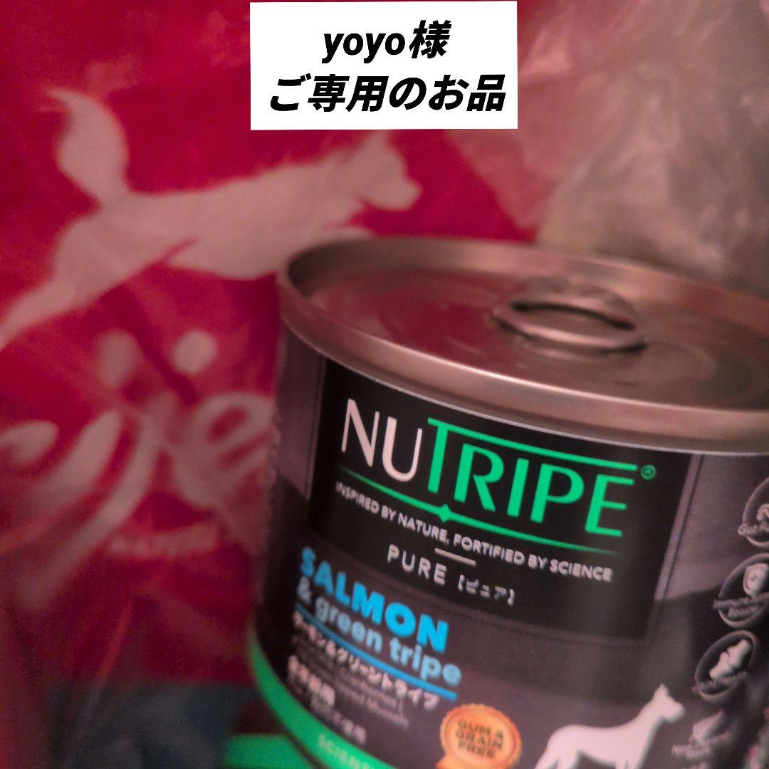 正規品　オリジン　オリジナルドッグ　6キロ　Orijen