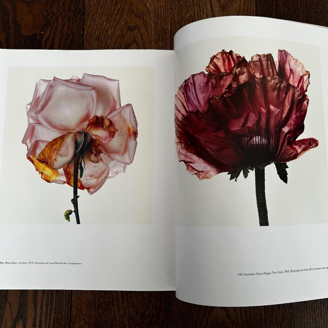 Irving Penn アーヴィング ペン写真集