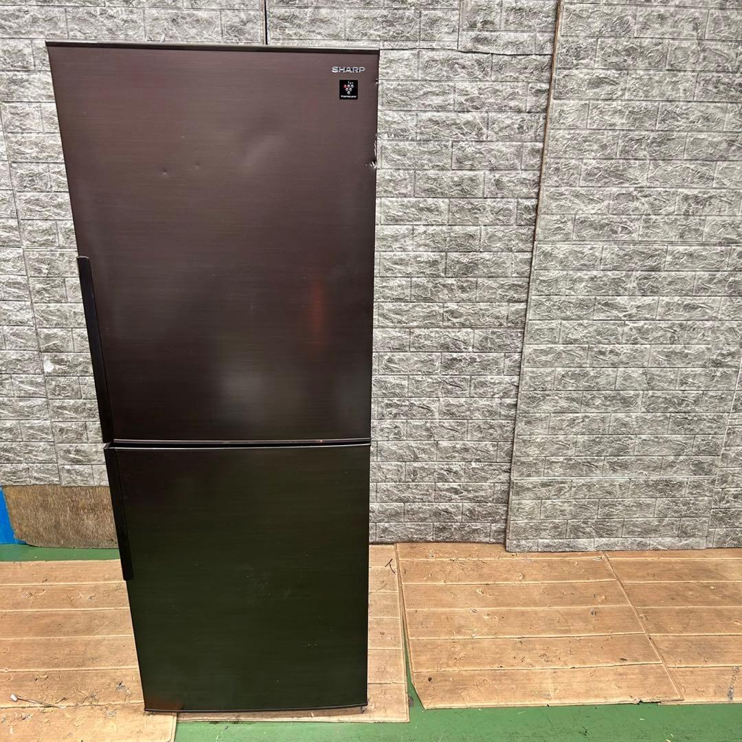 592 SHARP 冷蔵庫　大型　200L〜300L 小型　右開き　極美品　人気