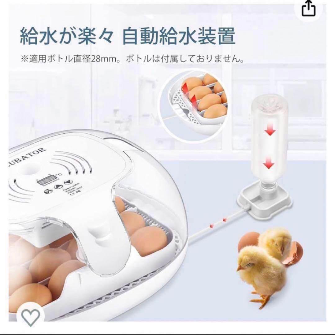 INCUBATOR自動孵卵器 透明蓋 検卵装置付き 自動転卵 ひよこ