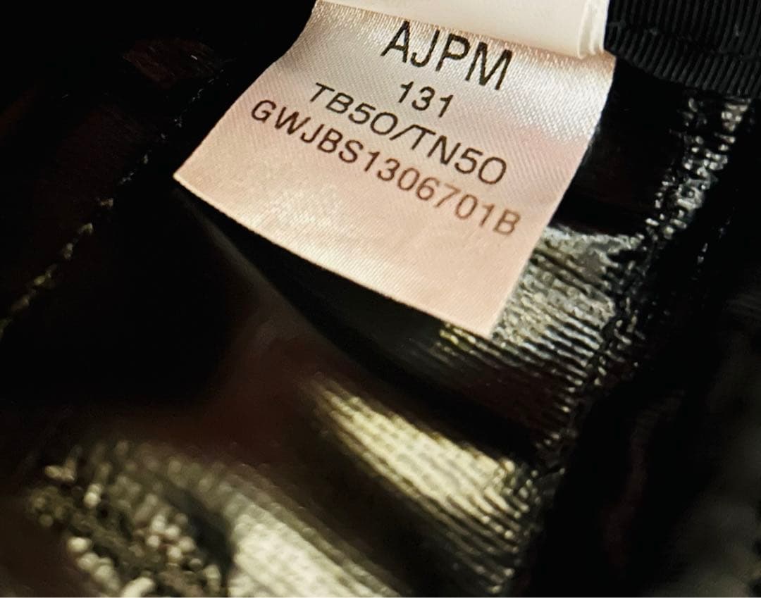 廃番品　THE NORTH FACE　ノースフェイス　キャリーバッグ　機内持込