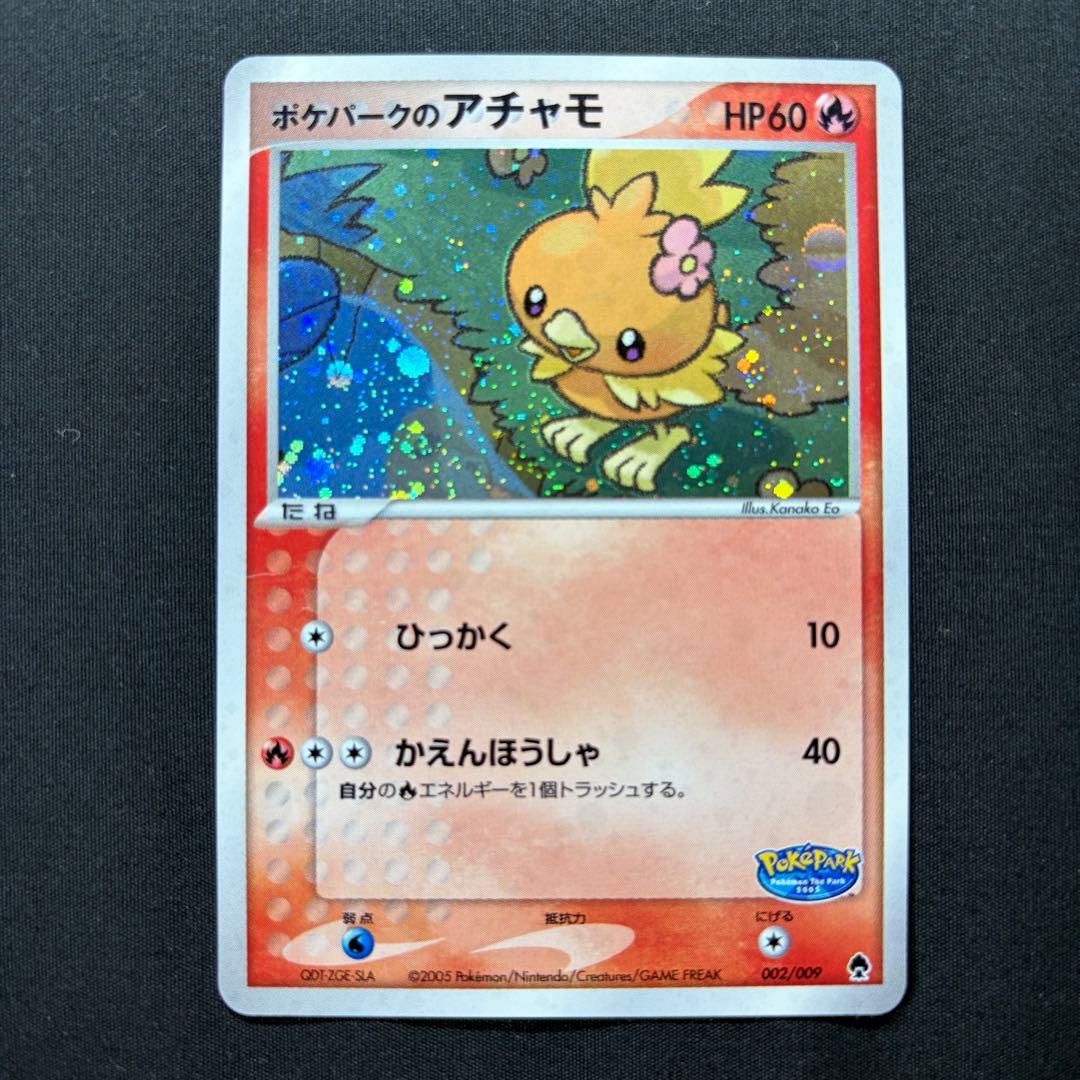 【希少ポケパーク限定】ポケモンカードゲーム フォレストシート プレミアムファイル