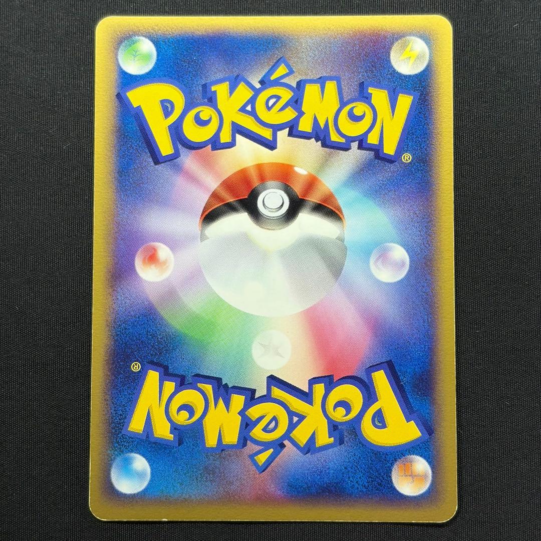 【希少ポケパーク限定】ポケモンカードゲーム フォレストシート プレミアムファイル