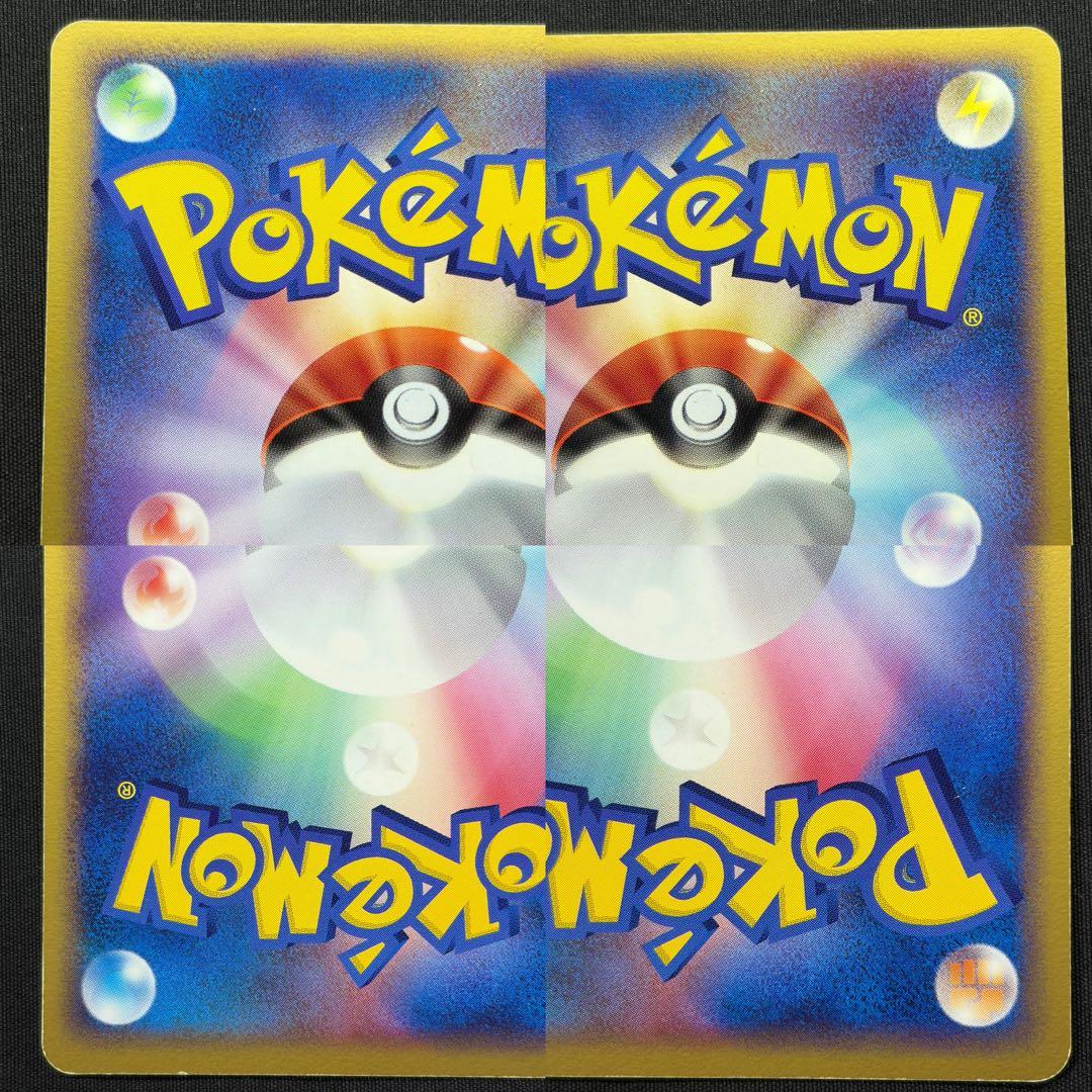 【希少ポケパーク限定】ポケモンカードゲーム フォレストシート プレミアムファイル