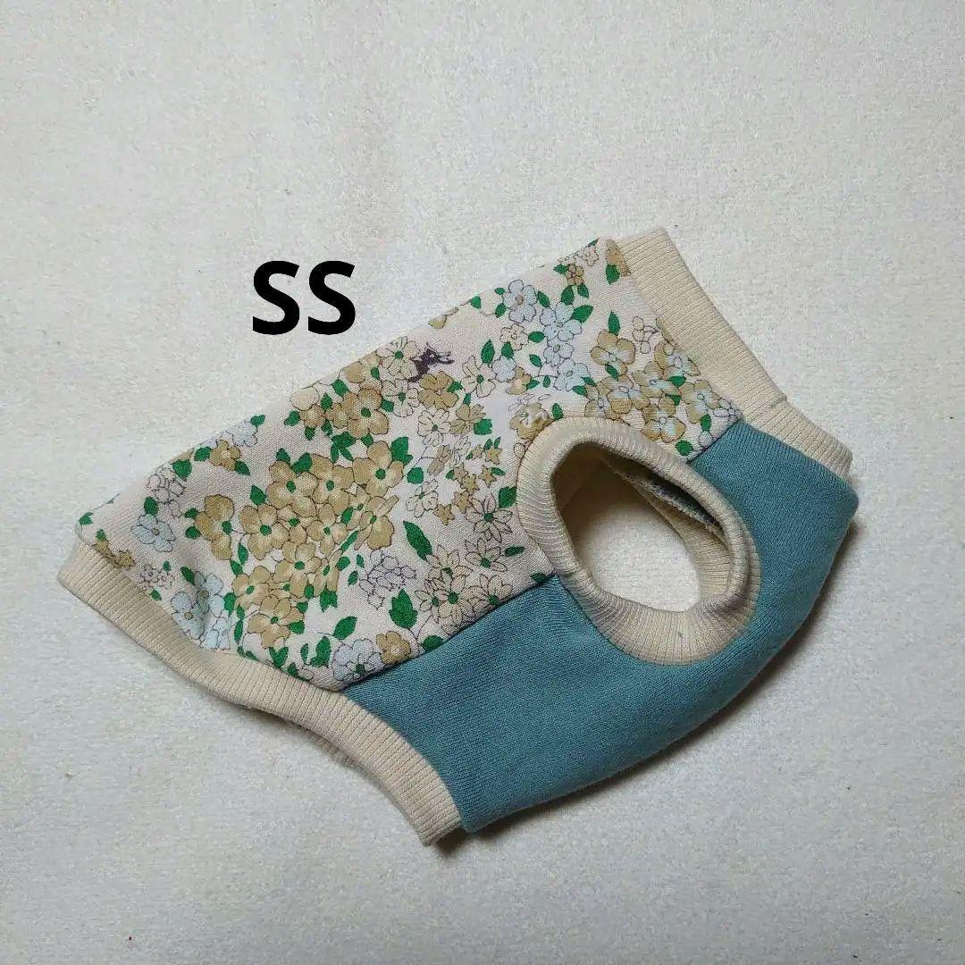 犬服 SS わんこの普段着　フルーツカシェモア　グリーン