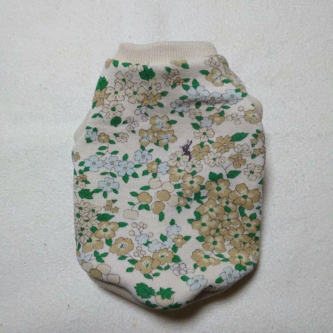 犬服 SS わんこの普段着　フルーツカシェモア　グリーン