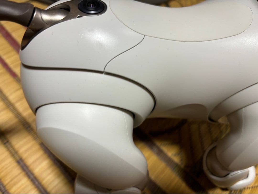 SONY アイボ ERS-1000 送料込