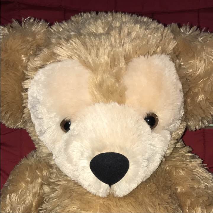 ④ ダッフィー毛長旧M