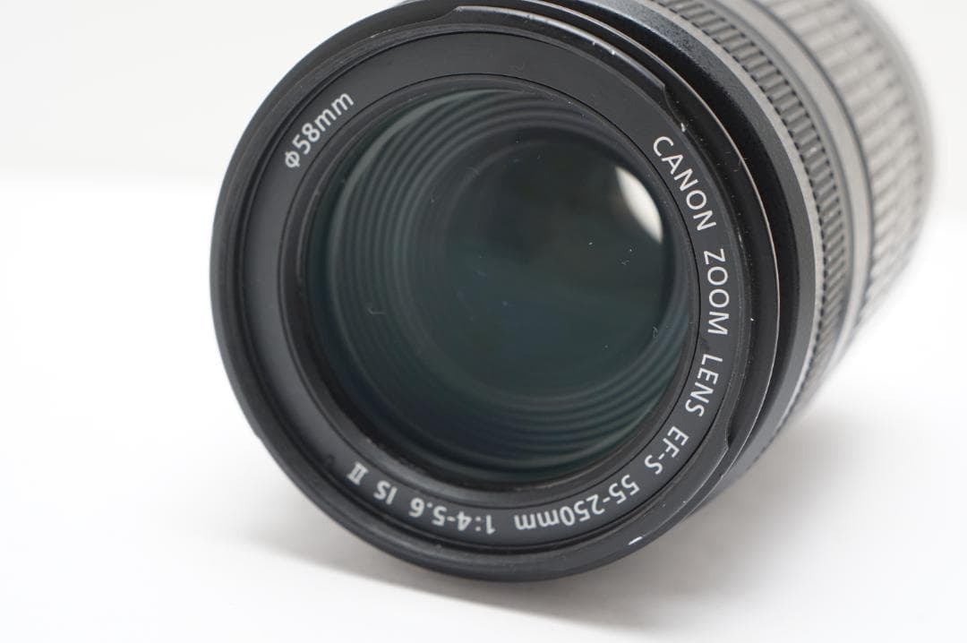 Canon EF-S 55-250mm IS Ⅱ
