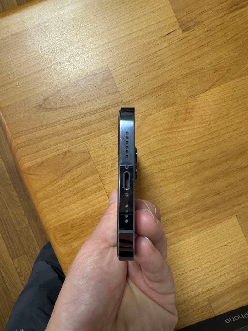 Apple iPhone 13 Pro Max シエラブルー