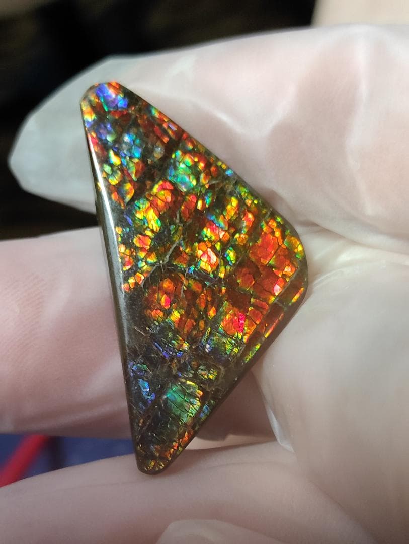 アンモライト　ルース　24-1414 23500